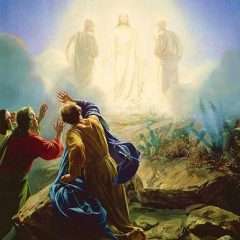 Lecturas del Domingo 13 de Marzo de 2022: La Transfiguración